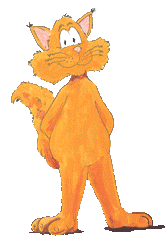 Scampi the cat
